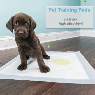 Factory Price Free Sample Disposable Puppy Potty Training PEE Pad Pet Dog Diaper