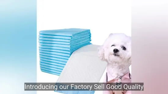 Super Absorbent Potty Pads Disposable Pet Diaper for Dogs