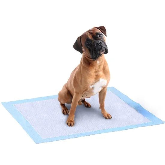 The Factory Supplies Sustainable Super Absorbent Pet Diapers Dog Training Pads Pet