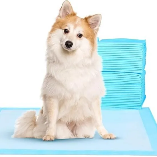 Factory Wholsale Disposable Diaper for Pet Pad for PEE Training 