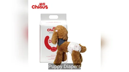 New Custom Disposable Free Sample for Male Dog Cats Wholesale High Quality Female/Male Puppy Disposable Manufacture Cheap Pet Diaper 