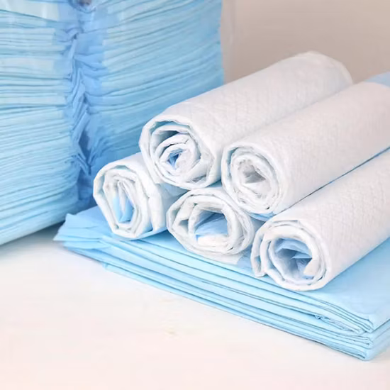 Wholesale PEE Pad Super Absorbent Disposable Pet Training Pad