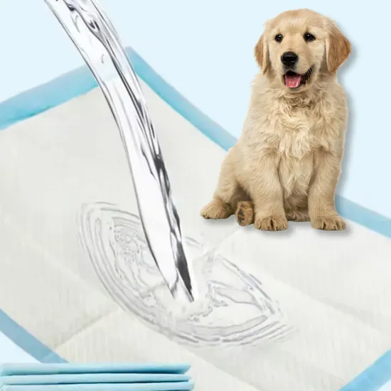 OEM Waterproof Wholesale Puppy Diaper Training Disposable Pet Urine PEE Absorption and Potty Wee Pads 