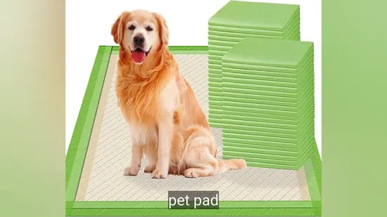 Custom OEM ODM Disposable Puppytraining PEE Pet Urine Pad for Dogs 