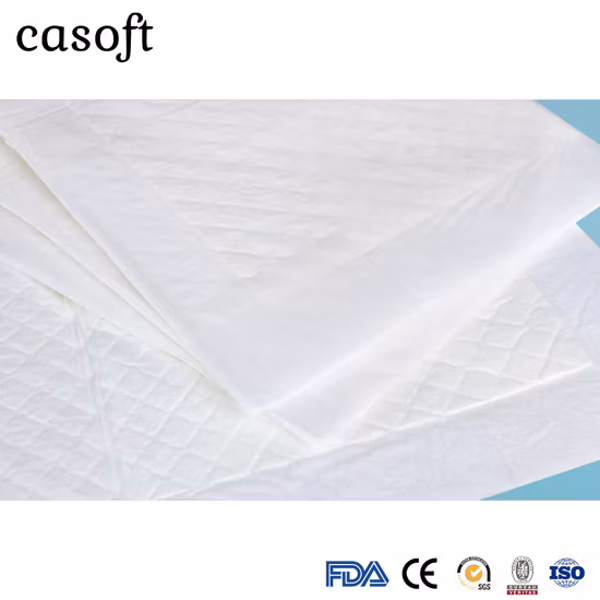 Casoft Pet Training Supplies Disposable Puppy Dog Pet Training PEE Potty Pads Singapore Russia