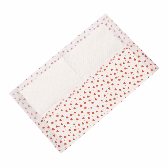 Soft Comfortable Dog Absorbent Hygienic Cat Puppy Animal Urine PEE Wee Bamboo Charcoal Wholesale Custom OEM Deodorant Cute Lovely Disposable Training Pet Pads