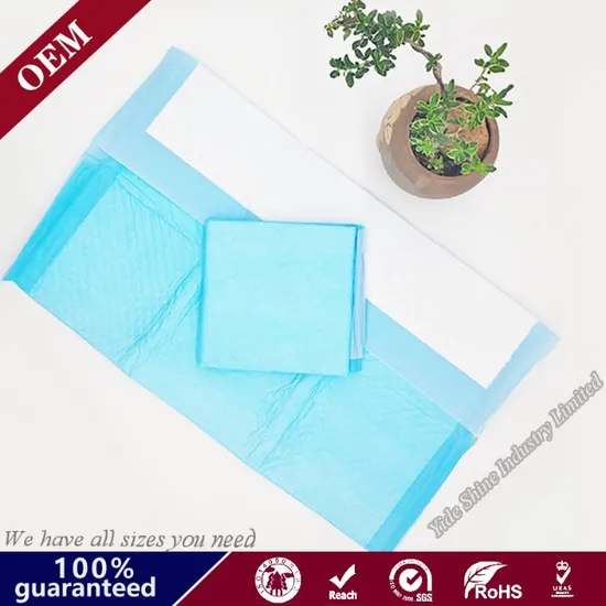 Disposable Pet Dog PEE Pad for Potty Urine Training 