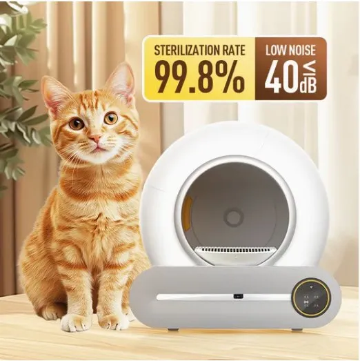 Wholesale Discounts Mobile Control Time