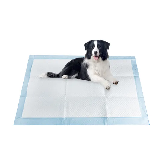 Factory Wholesale High Quality Disposable Absorbent Pet Training Pad Puppy Training Pad Dog PEE Pad Wee Wee Pad Pet Bed Pad Pet Dog Changing Cooling Pad 